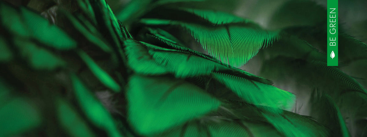 aubainerie_eco_1